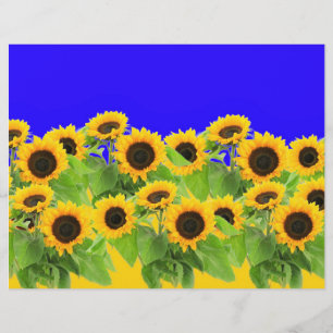 Gelbe Sonnenblumen auf Blue Sky Briefbogen