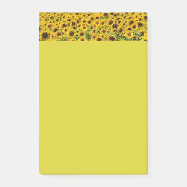 Gelbe Sonnenblumen Botanische Blumendrucke Post-it Klebezettel (Vorderseite)