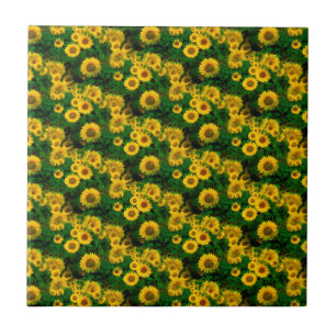 Gelbe Sonnenblumen Fliese