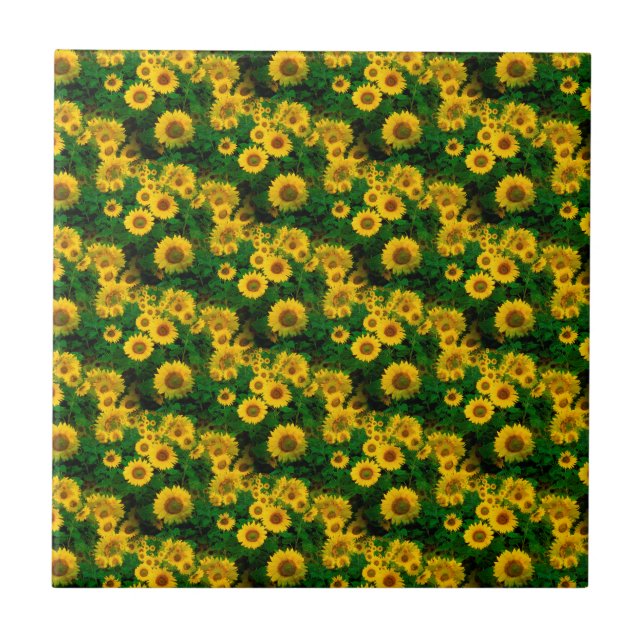 Gelbe Sonnenblumen Fliese (Vorderseite)