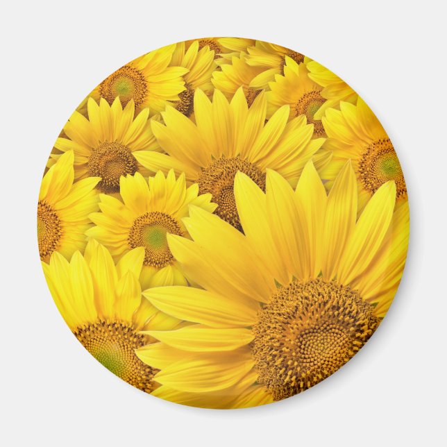Gelbe Sonnenblumen Magnet (Vorne)