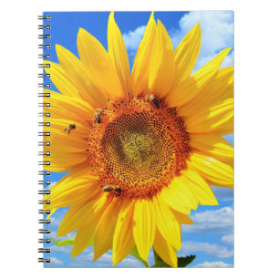 Gelbe Sonnenblumen-Notizbuch Notizblock