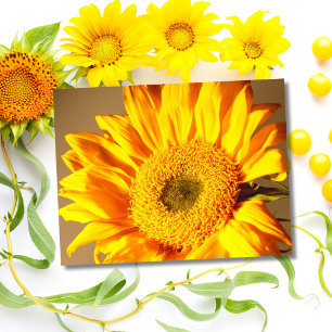 Gelbe Sonnenblumen-Postkarte Postkarte