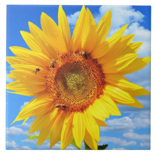 Gelbe Sonnenblumen und Bienen auf blauem Himmel -  Fliese