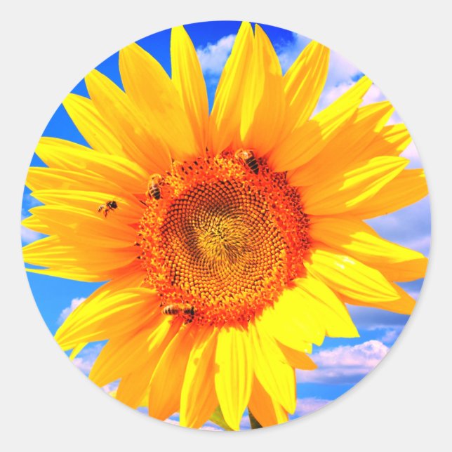 Gelbe Sonnenblumen und Bienen auf Blue Sky Sticker (Vorderseite)