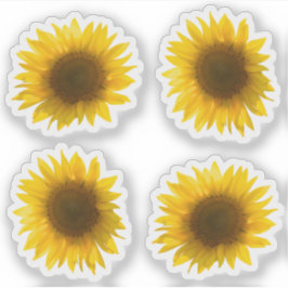 Gelbe Sonnenblumenaufnahme 4x Set Aufkleber