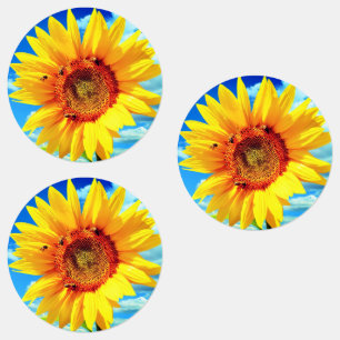 Gelbe Sonnenblumenkleber Etiketten