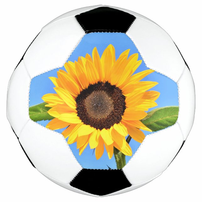 Gelbe Sonnenblumenkugel Fußball (Vorderseite)
