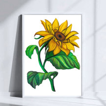 Gelbe Sonnenblumenzeichnung Buntstift Kunst