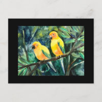 Gelbe Sonnenschirme, Vogelfreunde