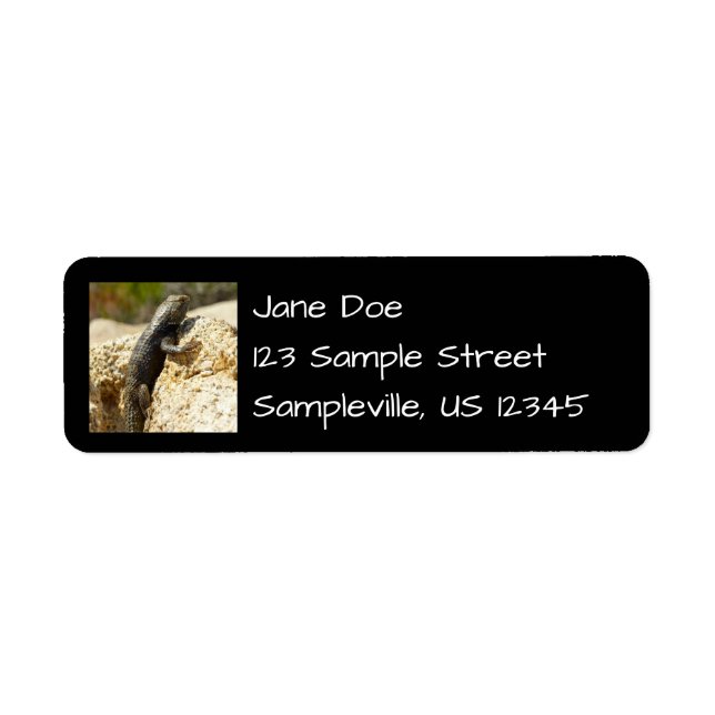 Gelbe Spiny Lizard bei Joshua Tree (Vorne)