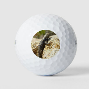 Gelbe Spiny Lizard bei Joshua Tree Golfball