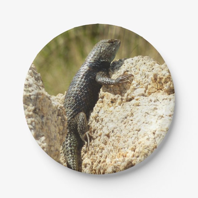 Gelbe Spiny Lizard bei Joshua Tree Pappteller (Vorderseite)