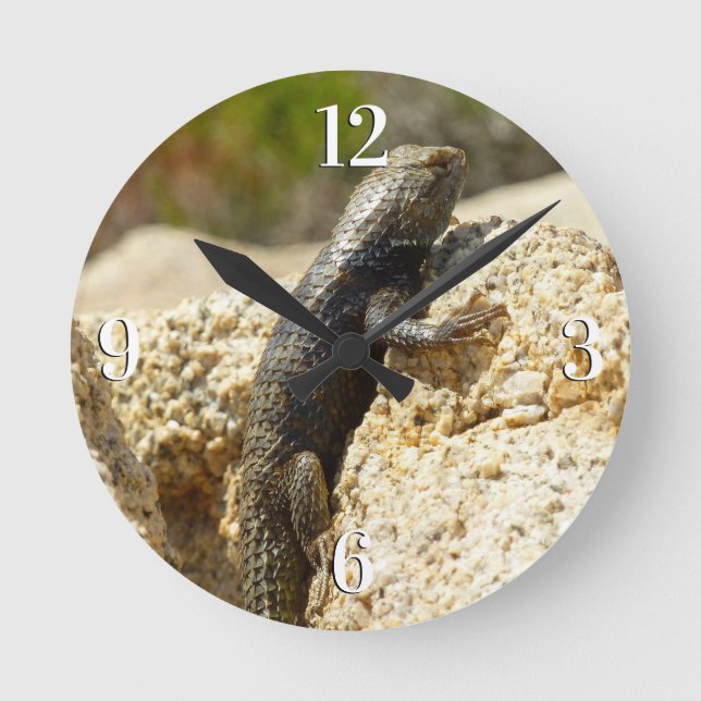 Gelbe Spiny Lizard bei Joshua Tree Runde Wanduhr (Vorderseite)