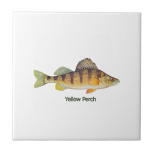 Gelbe Stange betitelt Fliese