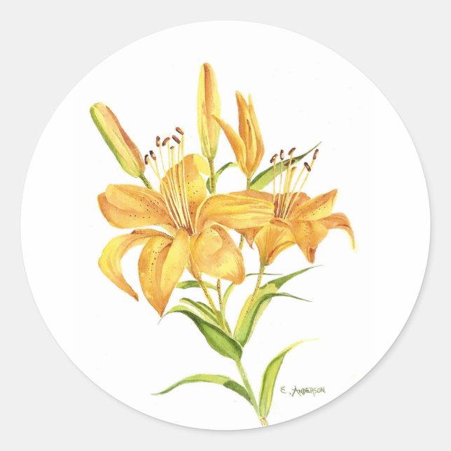 Gelbe Tigerlilie Runder Aufkleber (Vorderseite)