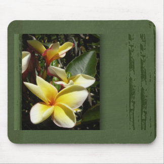Gelbe tropische Plumeria-Blume Mousepad