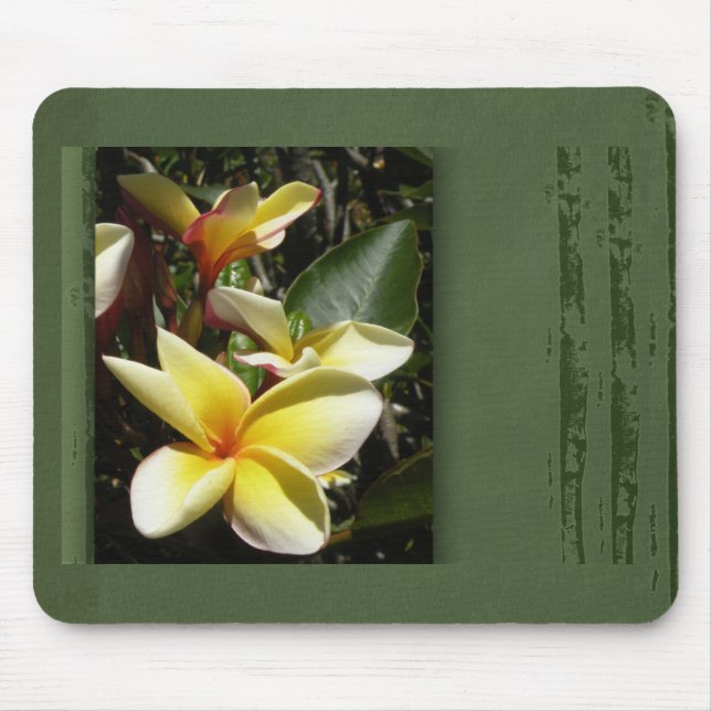 Gelbe tropische Plumeria-Blume Mousepad (Vorne)