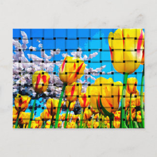 Gelbe Tulip Weave Postkarte