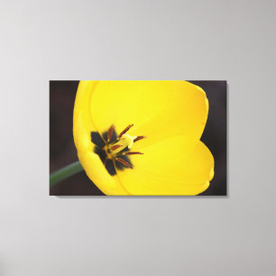 Gelbe Tulip-Wrapped Canvas Leinwanddruck