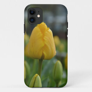 Gelbe Tulipen im Feld iPhone 11 Hülle