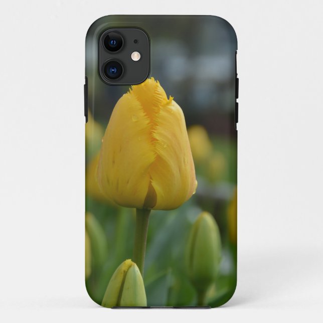 Gelbe Tulipen im Feld Case-Mate iPhone Hülle (Rückseite)