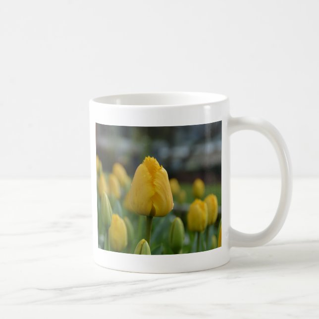 Gelbe Tulipen im Feld Tasse (Rechts)