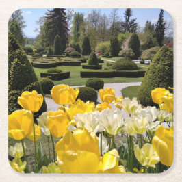 Gelbe Tulips aus Arboretum Volcji Potok Slowenien Rechteckiger Pappuntersetzer