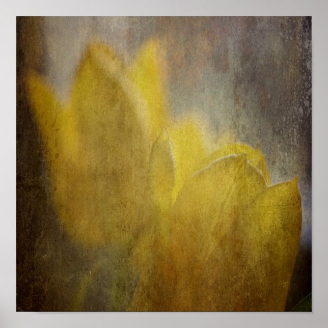 Gelbe Tulips Blume Rustikale Kunst Poster (Vorne)