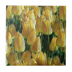Gelbe Tulips Fliese