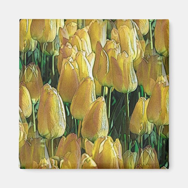 Gelbe Tulips Magnet (Vorne)