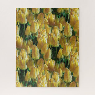 Gelbe Tulips Puzzle