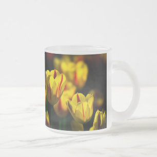 Gelbe Tulpe-Blume Mattglastasse