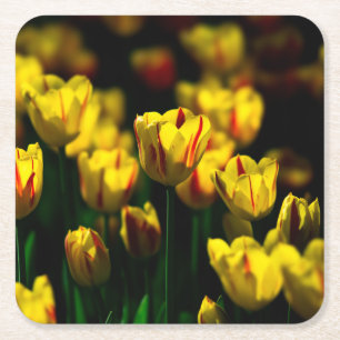 Gelbe Tulpe-Blume Rechteckiger Pappuntersetzer