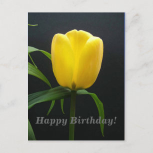 Gelbe Tulpe Blume zum Geburtstag Postkarte