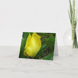 Gelbe Tulpe-im Frühjahr Regen-Anmerkungs-Karte Dankeskarte