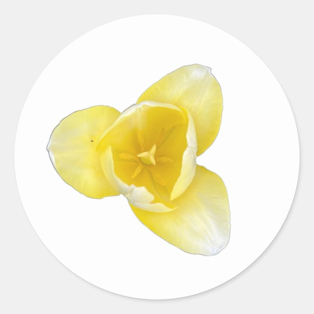Gelbe Tulpe Runder Aufkleber (Vorderseite)