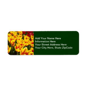 Gelbe Tulpen-Adressetiketten individuelle Florale
