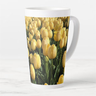 Gelbe Tulpen auf einem Feld, Oregon Milchtasse