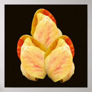 Gelbe Tulpen-Blütenblätter Bouquet Poster