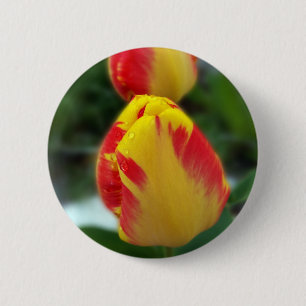 Gelbe Tulpen Button