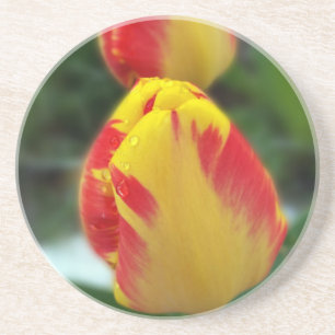 Gelbe Tulpen Getränkeuntersetzer