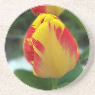 Gelbe Tulpen Getränkeuntersetzer
