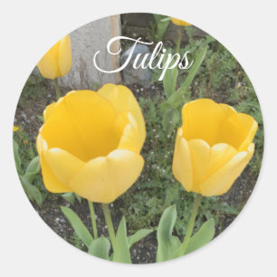 Gelbe Tulpen Klassischer runder Aufkleber