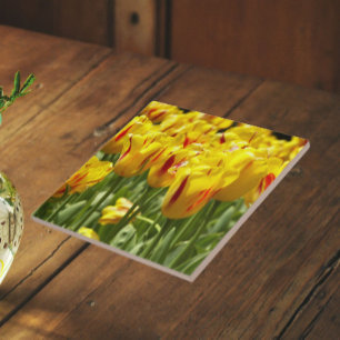 Gelbe Tulpen mit roten Streifen Floral Fliese