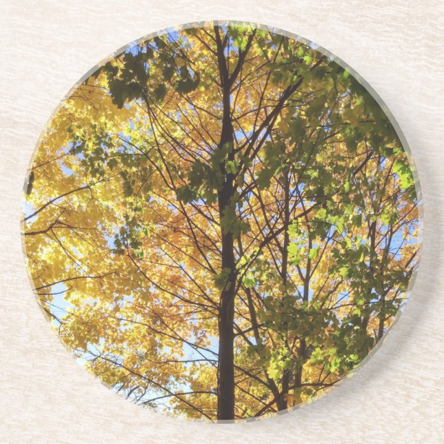 Gelbe und grüne Auflage Getränkeuntersetzer (Vorne)