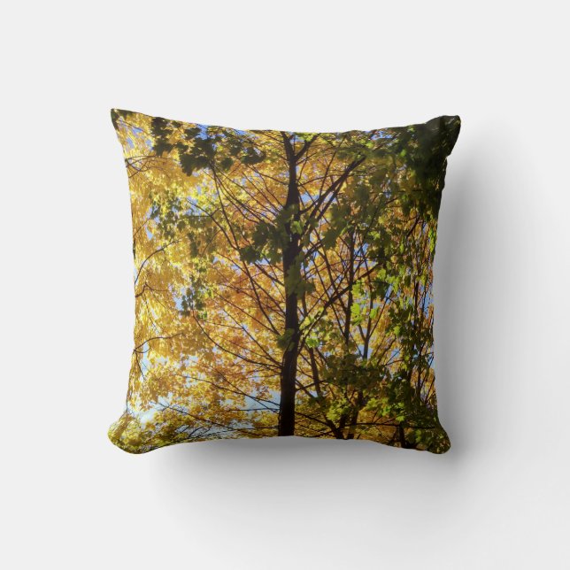 Gelbe und grüne Auflage Kissen (Vorderseite)