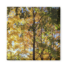 Gelbe und grüne Auflage