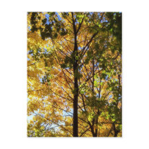 Gelbe und grüne Auflage