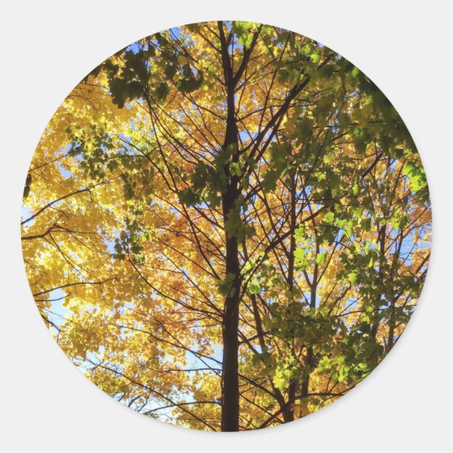 Gelbe und grüne Auflage Runder Aufkleber (Vorderseite)